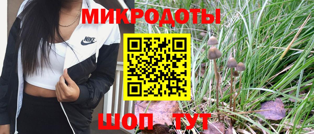 Псилоцибиновые грибы прущие грибы Волгоград