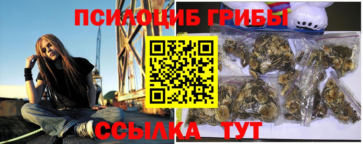 закладка  Псилоцибиновые грибы прущие грибы  Вход с VPN  Волгоград 